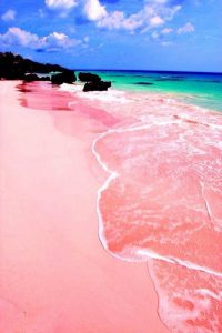 Bermuda's pink sand 